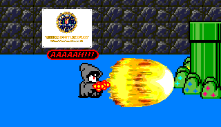 11E.gif (9404 bytes)