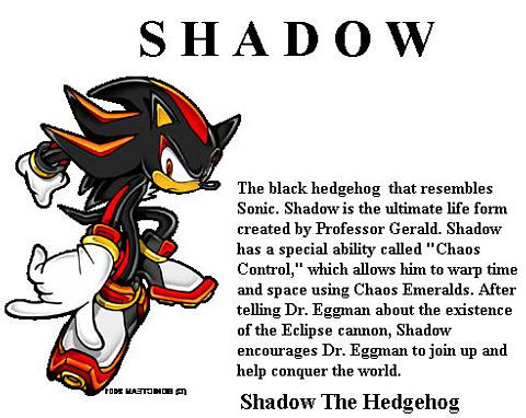 Shadow the Hedgehog (Game) Personality Type, MBTI - Which Personality?