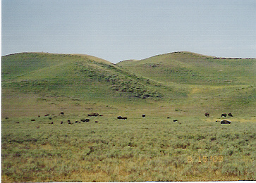 picture of rolling hills