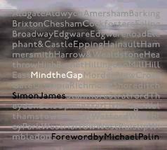 Mind The Gap by Simon James - Makes a great Xmas present