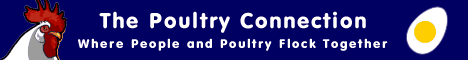 The Poultry 
Connection banner