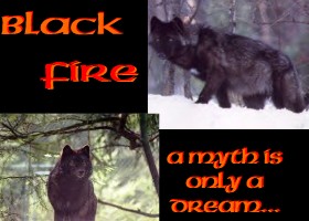 Black Fire