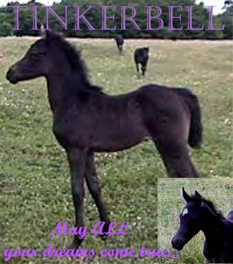 Tinkerbell