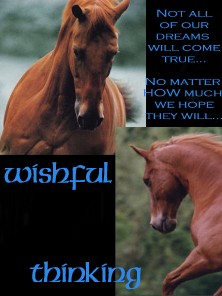 Wishful Thinking
