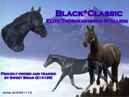 Black^Classic(Horseland