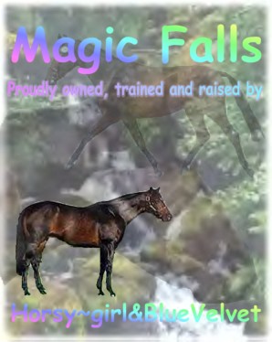 Magic Falls