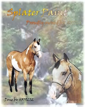 Splater Paint(Horseland)