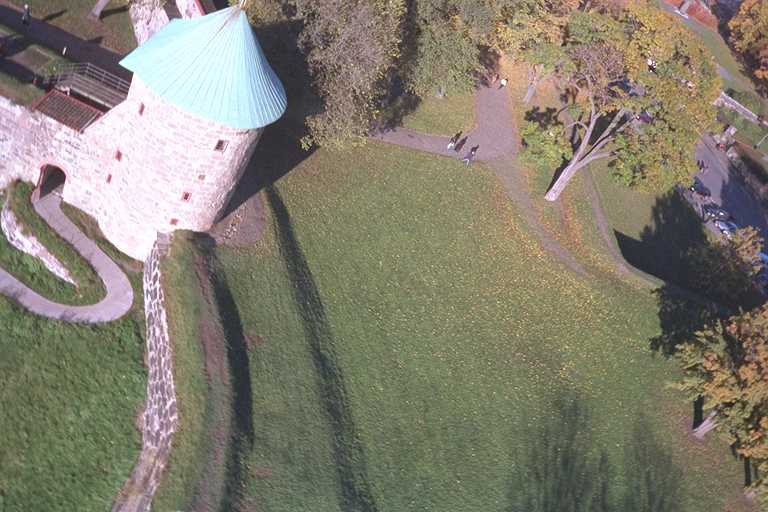 {short description of image}