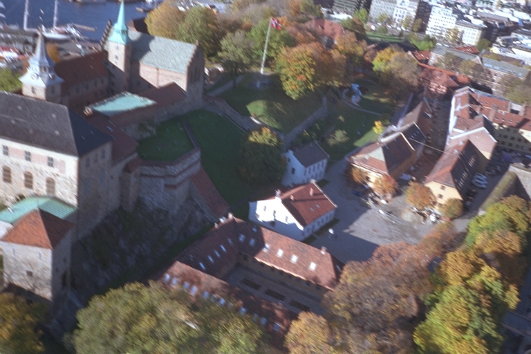 {short description of image}