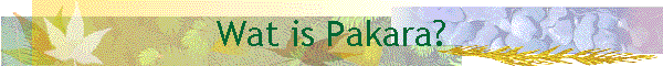 Wat is Pakara?