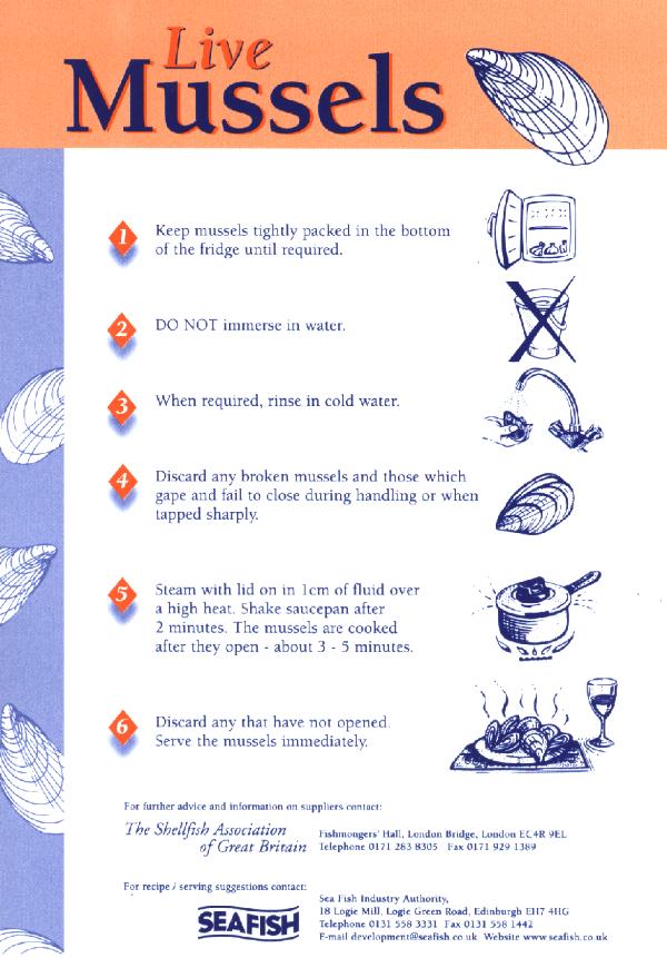 (mussel preparation)