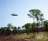 ufo.jpg (48555 bytes)