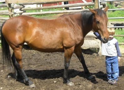 Im going to get trampled?!