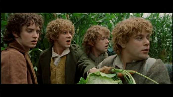 The 4 Hobbits