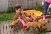 Pups playing