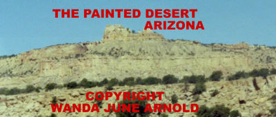 #1  The Painted Desert