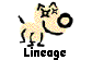 Lineage