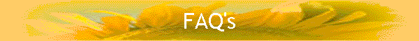 FAQ's