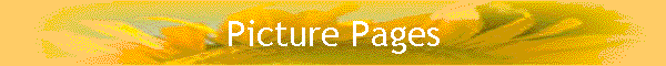 Picture Pages