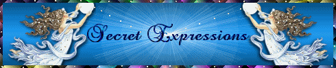 Secret Expressions