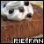 Chocolate Pie Fan