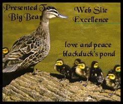 blackduck's pond's Web Excellence Award