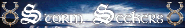 Storm Seekers Realm