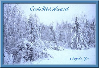Coyote Jo's Cool Site Award