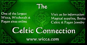 The Celtic Connection