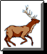 [deer]