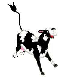 [cow]