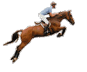 [jumping horse]