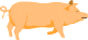 [pig]