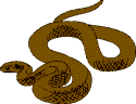 [snake]