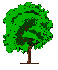 [tree]