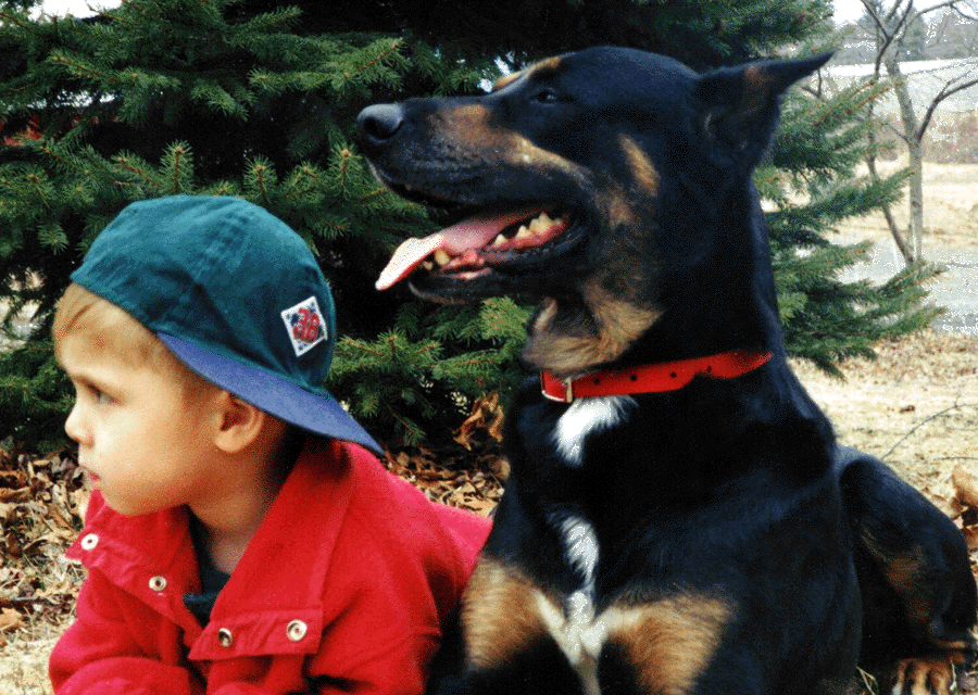 CHILD'S BEST FRIEND Dog Training Academy