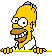 HOMER