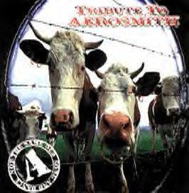 Tribute to Aerosmith