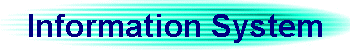 Information System