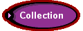  Collection 