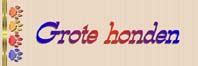 click hier om naar grote honden te gaan