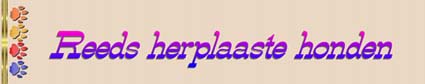 click hier om een aantal van de reeds herplaaste honden te zein