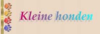 click hier om naar kleine honden te gaan