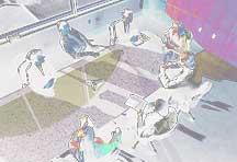 Executive Directorate