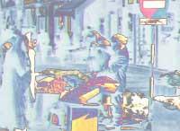 Foreign Service Directorate