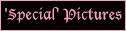 'Special' Pictures