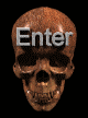 enter.gif (3379 bytes)