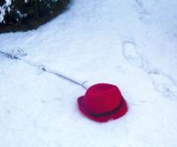 Red hat in white snow