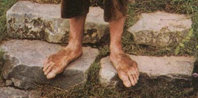 How big are hobbit feet