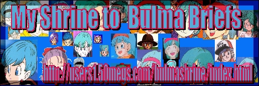 Visit The Shrine To Bulma Briefs!
